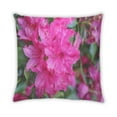 thumbnail image 2 of Ahgly Company Color Focus Pink Indoor Throw Pillow, 18 inch by 18 inch, 2 of 6