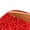 Red, variant on Women's Ballroom Tango Latin Dancing Shoes Sequins Shoes Social Dance Shoe Gold 39