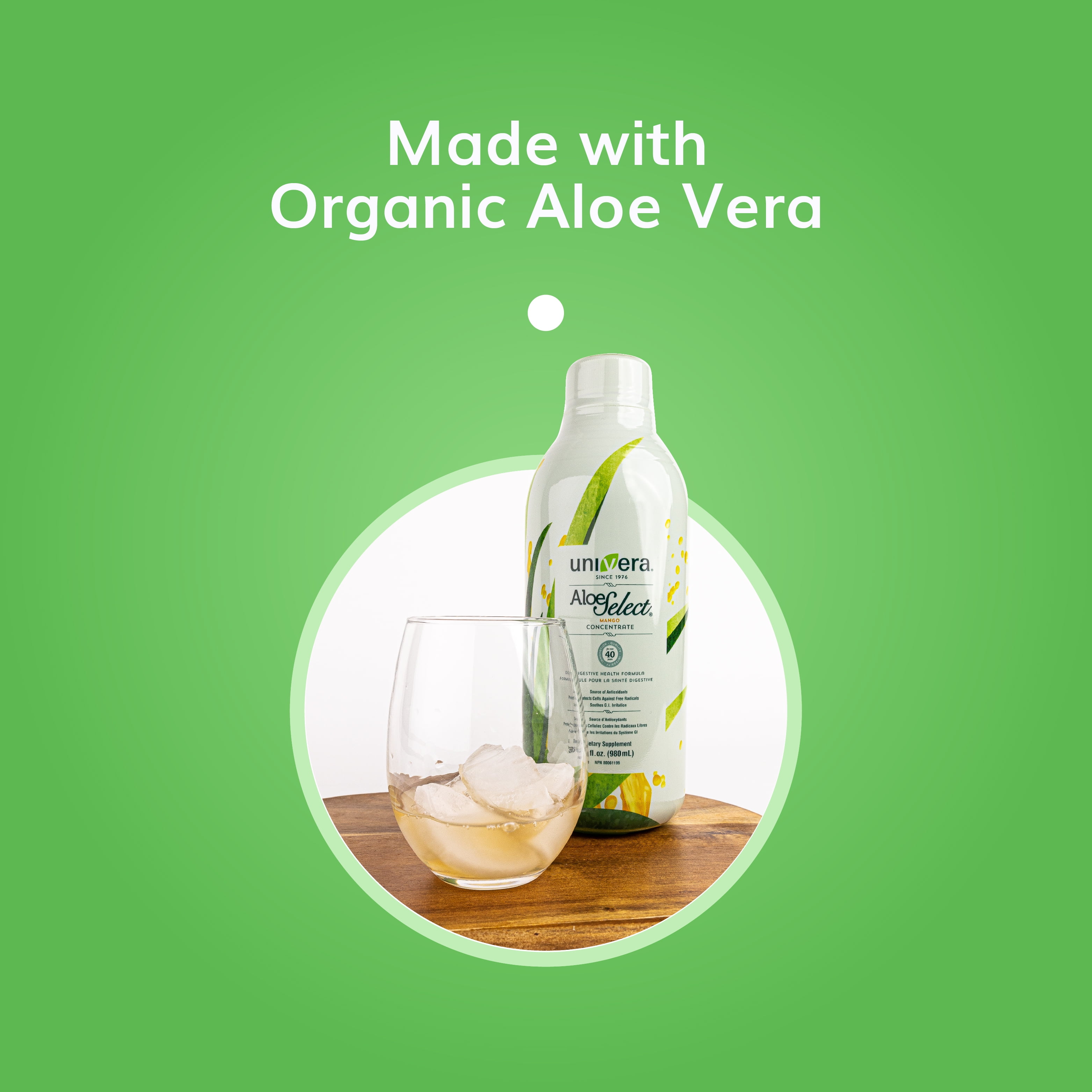 Univera Aloe Select Mango - Prebiotic Supplement to Boost Immune Support, Digestive Enzymes for Gut Health w/ Hand-Harvested Aloe Vera, 400mg per Serving - 30 Day Supply
