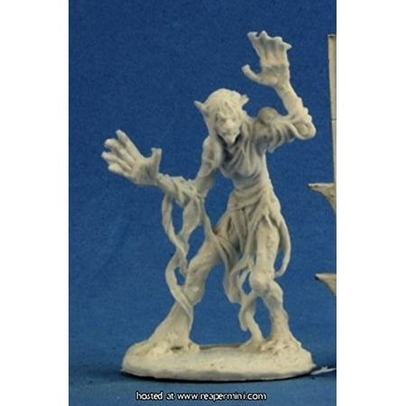 Reaper Miniatures Sea Hag #77276 Bones Plastic D&D RPG Mini Figure