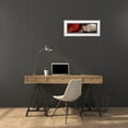thumbnail image 3 of Willow, Susan P. 32x14 White Modern Wood Framed Museum Art Print Titled - Letter and Roses, 3 of 4