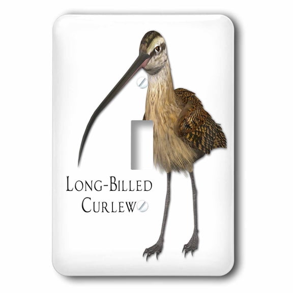 3dRose, Long-Billed Curlew Shorebird, single toggle switch