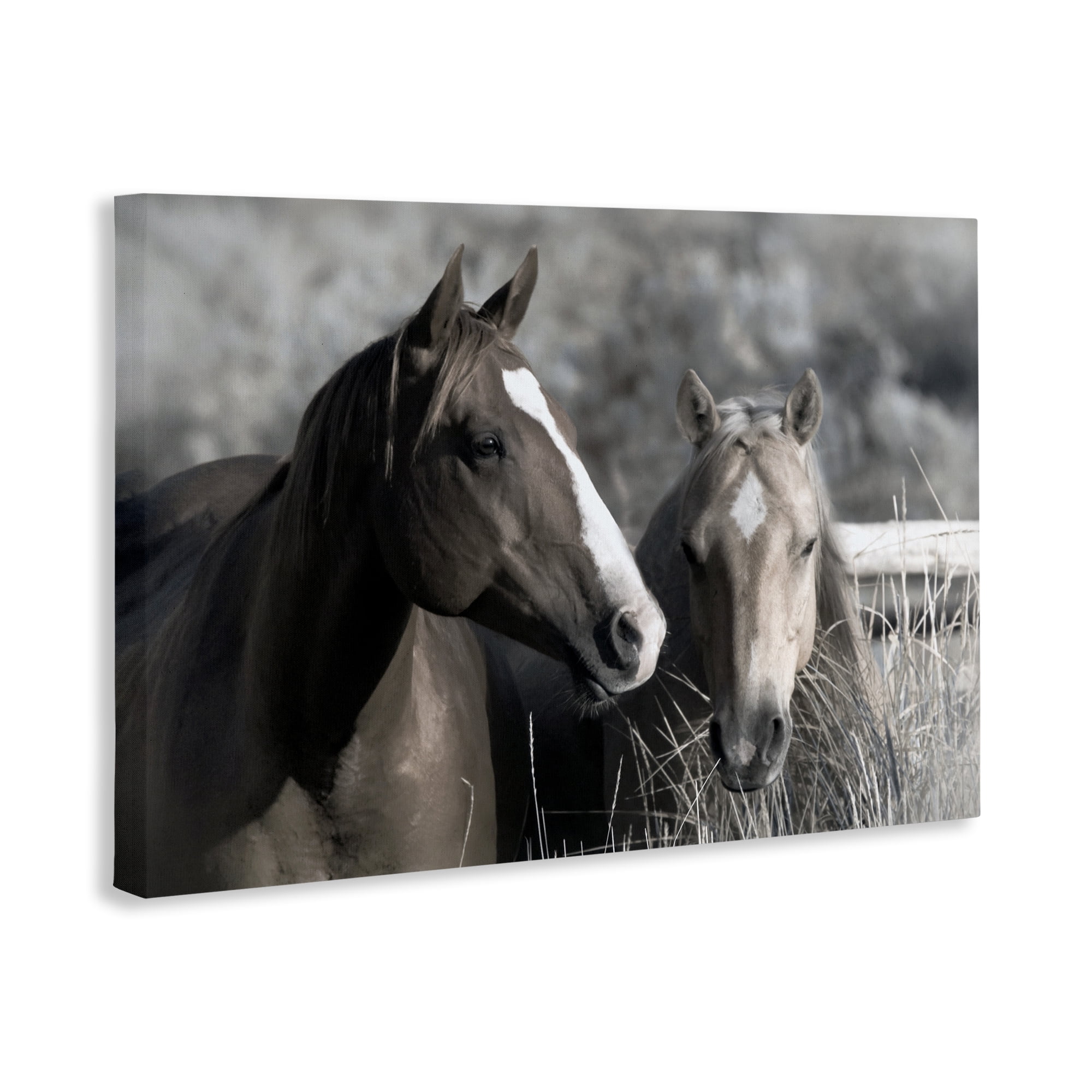 Stupell Industries Content Horses In Pasture Canvas Wall Art, design by Danita Delimont