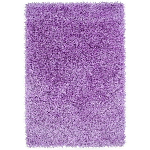 Chandra Tirish TIR1930 Hand Woven Shag Area Rug