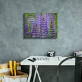 thumbnail image 6 of Epic Graffiti 'Blue Lupine Flowers' by Cora Niele, Canvas Wall Art, 16"x12", 6 of 8
