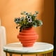 thumbnail image 4 of Jarrón decorativo de plástico esmaltado | Maceta de plástico brillante y duradera para flores secas | Decoración multifuncional para el hogar, sala de estar, cocina y dormitorio | 15 x 8 cm,, 4 of 6