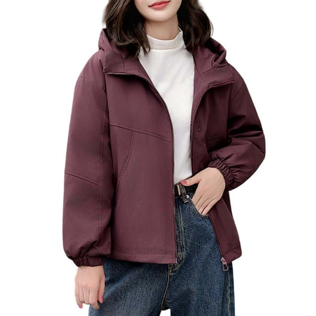 Krdevn Veste d'Hiver à Capuche pour Femmes, Longue, Robuste, Chaude, Isolée Thermiquement avec Poches pour Temps Froid, Taille : m
