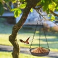 thumbnail image 6 of FEOLGEHLY Metal Hanging Bird Bath for Outdside, Morden Style Bird Feeders for Outdoors, Home Garden Decor Bird Feeding Station, Wildbird Hummingbirds Feeders for Backyard Yard Decoration, 6 of 6