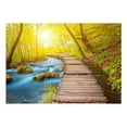 thumbnail image 2 of Tiptophomedecor Peel and Stick Nature Wallpaper Wall Mural - Forest Walkway - Removable Wall Decals, 2 of 4