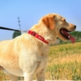 thumbnail image 7 of Pet Artist 	Reflective Nylon Personalized Dog Collars Embroidered Custom ID Name Phone Number, 7 of 7