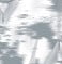 Stark White Print