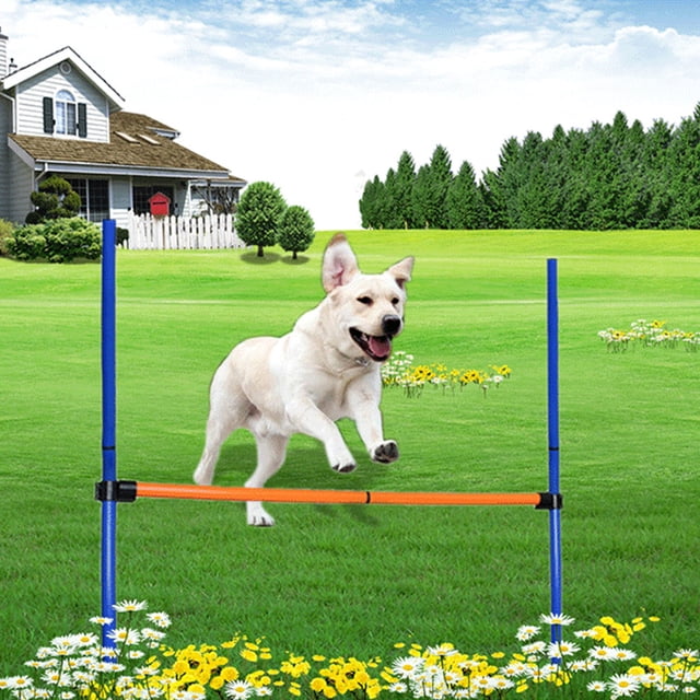 Barrière d'Entraînement pour Chien Hauteur Réglable, Portable et Durable avec Design Léger pour Sport Extérieur