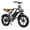 Black, variant on 1500W Peak Electric Bike,20*4.0" Fat Tire Fat Tire E-Bike with 48V Removable Battery,Max 28MPH,50+ Mile Range,Black