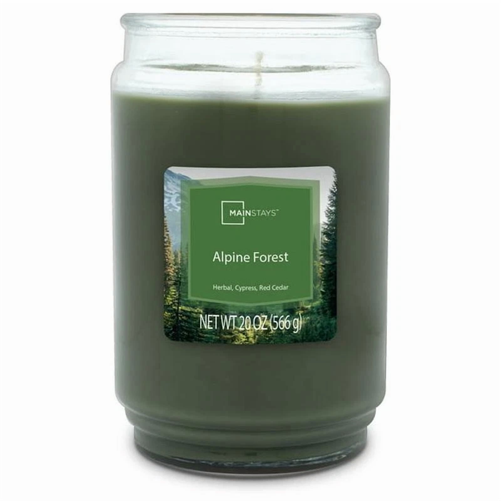 Alpine Forest Scented Candle Clean Burn Fresh Aroma Decorative Jar 20Oz New