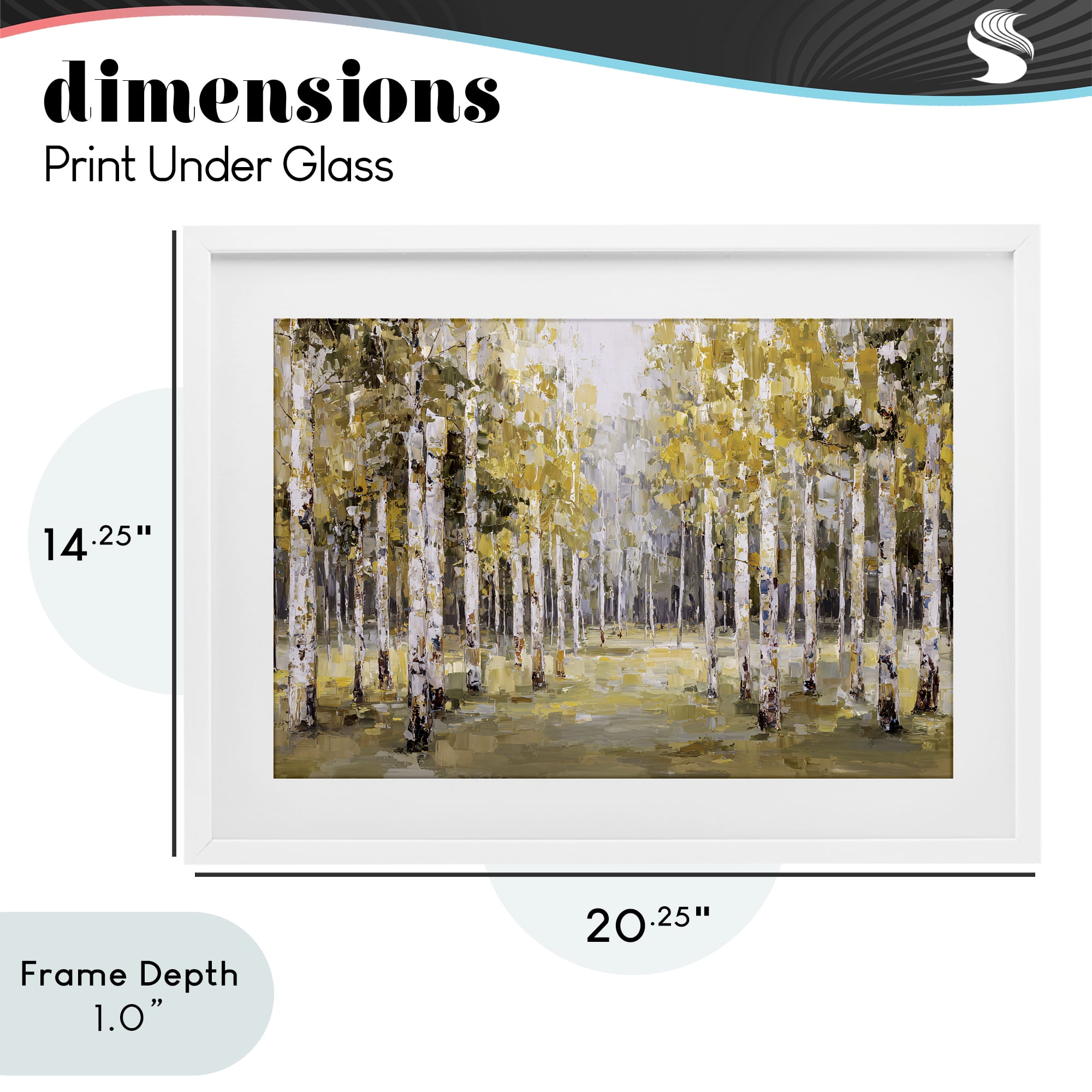 Stupell Industries Impressionist Birch Trees & Fall Leaves White Framed Print Under Glass, design by Jacky Ngan