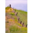 thumbnail image 2 of Gulin, Sylvia 23x32 Black Ornate Wood Framed with Double Matting Museum Art Print Titled - USA-Washington State-Palouse fence line near Winona with vetch and grasses, 2 of 4