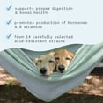thumbnail image 5 of Dr. Mercola Bark & Whiskers Complete Probiotics, for Dogs and Cats, 3.17 oz (90 g), Supports Immune Function, Digestive Support, Veterinarian Formulated, Non GMO, Dr. Mercola, 5 of 7