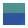 thumbnail image 5 of Stérilite 1-Gallon Rond Pichet en Plastique et Bec Verseur, Transparent W / Couvercle de Couleur (18 Pack), 5 of 5