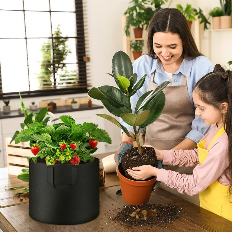 grow lights for carnivorous plants Florawave A18 Grow Light