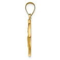 thumbnail image 7 of 14k Yellow Gold Solid Hollow Polished/Satin Round St. Augustine Medal Charm Pendant, 7 of 7