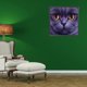 thumbnail image 4 of Cuadros Decorativos 5D DIY diamante pintura completo redondo taladro cara grande gato mosaico imagen Animal regalo JShteea Nuevos Originales, 4 of 5