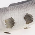 thumbnail image 5 of Modelo de artificial para decoración de acuario de agua - 2 Gris grande Yotijar Carpa Artificial Realista, 5 of 5