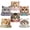 Cat Birthday, variant on 48 PCS Cat Birthday Party Decorations Birthday Paper Plates Cat Theme Disposable Pet Party Plates for Kids Baby Shower Birthday Party Supplies Serves 48