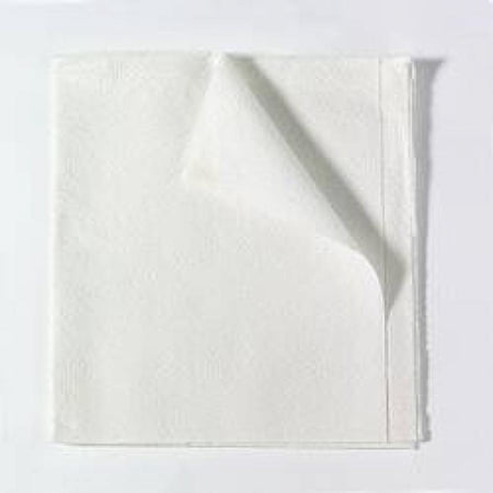 Encore General Purpose Drape, 2-Ply, Non-fenestrated, 40 Inches Wide x 48 Inches Long, White, Non-sterile, 100 Count