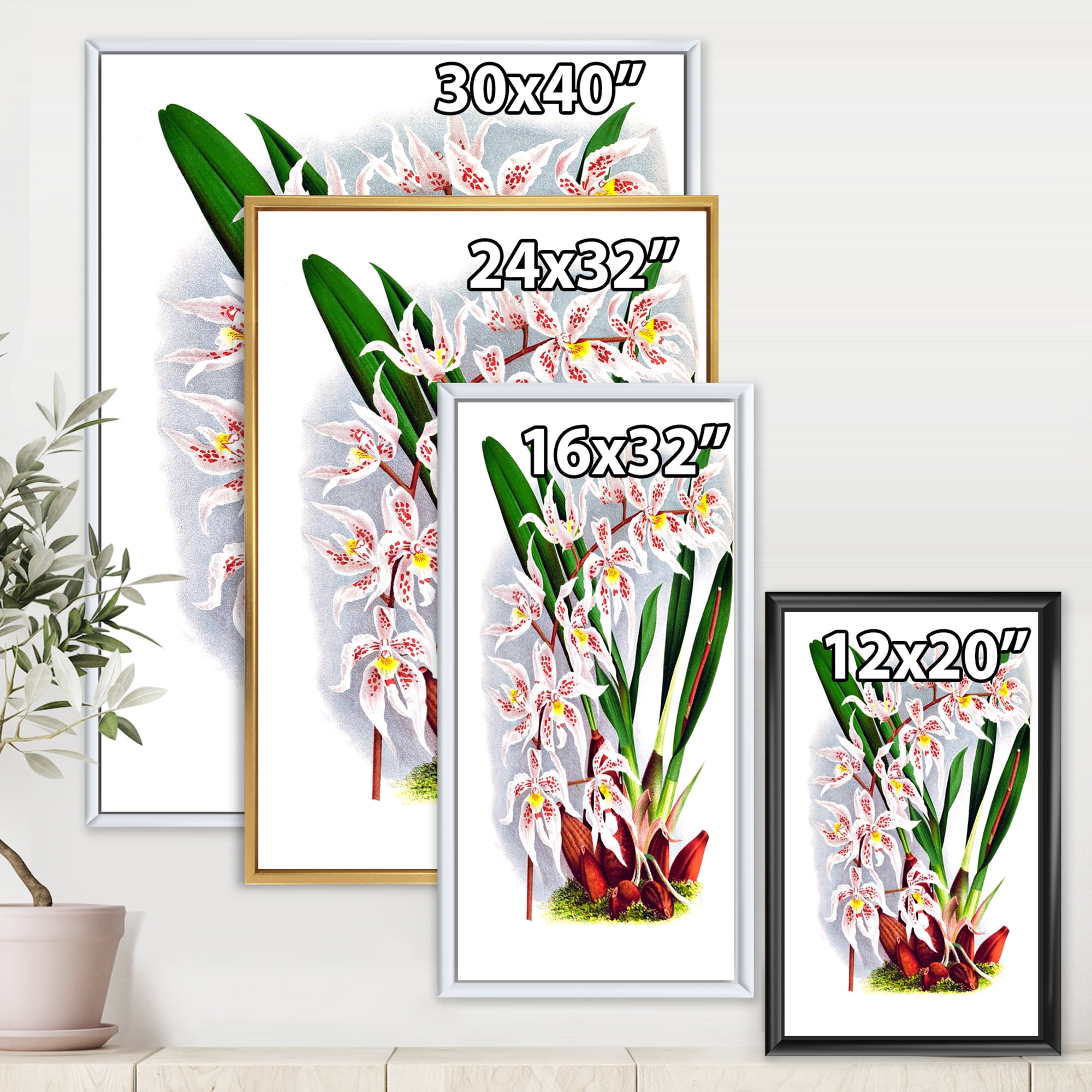Designart 'White Vintage Orchid Flower II' Traditional Framed Canvas Wall Art Print