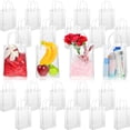 thumbnail image 1 of Bolsas de regalo Saintrygo de PVC transparente con asas de 23 x 17 x 7 cm (25 unidades), 1 of 6