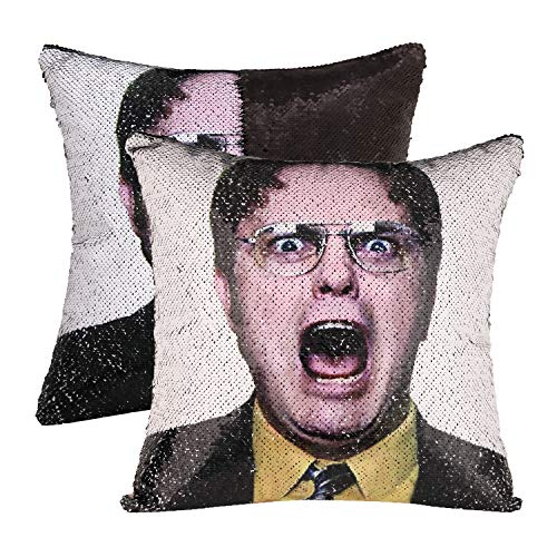 dwight pillow sequin