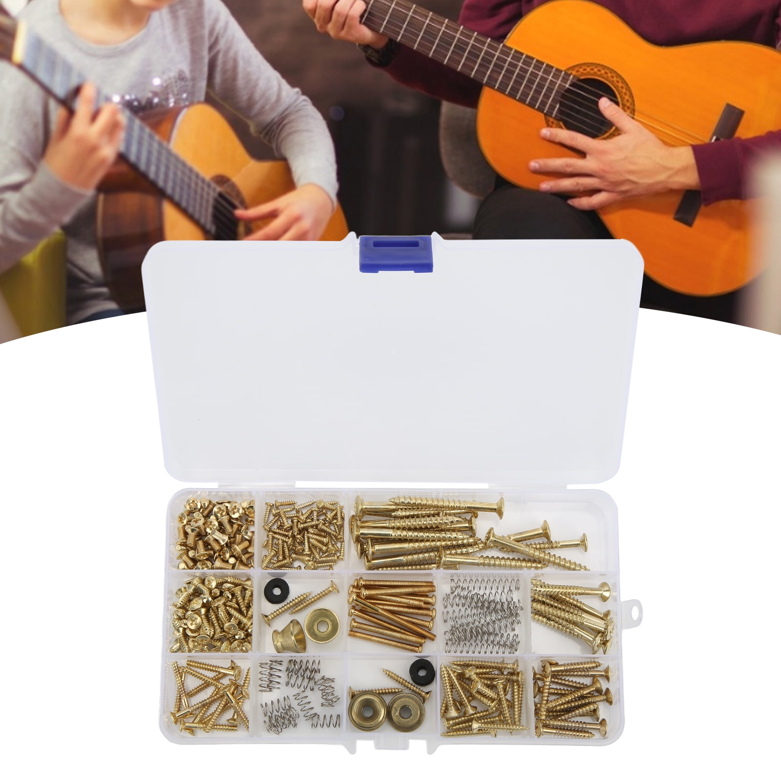 Guitar Repair Screw Kit, Metal Fasteners  Springs for Electric Instruments, Complete Set