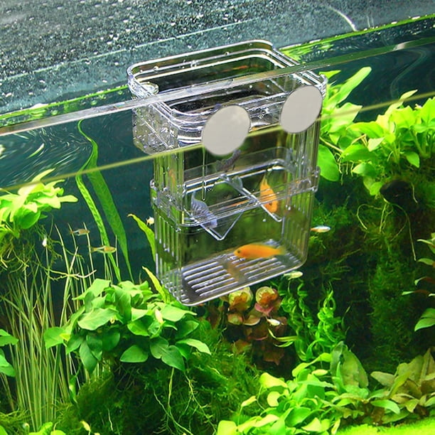 Incubadora Y Red De Cría Para Peces – Jaula De 26x15x15 Cm Para Alevines En Acuario