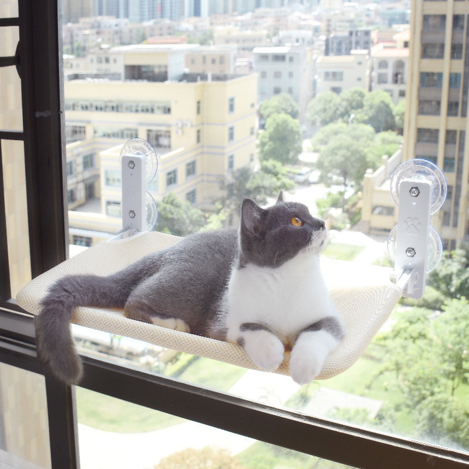 Cats Hammock House Small Medium Cats Window Perch Foldable Suction Cup Pet Bed Heavy-Duty Sunbath Perch for Pet