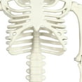 thumbnail image 7 of Full Body Skeleton Prop, Decorative Skeleton Mermaid Movable Joints Life Size Thrilling  For Patio, 7 of 7