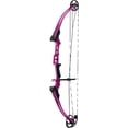 thumbnail image 3 of Genesis Mini Bow, 3 of 4
