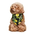 thumbnail image 4 of Naloa Lemon Fruits Flowers Leaves Dog Bandanas 1PC Washable Triangle Dog Scarfs Premium Durable Fabric, for Small Medium Large Dogs and Cats, 4 of 6