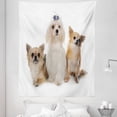 thumbnail image 1 of Puppy Tapestry, Chihuahua and Maltese Breed Dogs Look Same Direction on Plain Backdrop, Fabric Wall Hanging Decor for Bedroom Living Room Dorm, 5 Sizes, Pale Brown White, by Ambesonne, 1 of 1