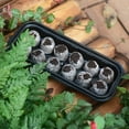 thumbnail image 5 of SLYNSHome Seed Starter Tray - 12 Cells - Seed Starting Trays with Dome and Base & Soil,Flower/Vegetable/Fruit Plant Growing Starting for Garden Home Yard, 5 of 8