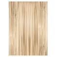 thumbnail image 1 of Foil Fringe Backdrop Champagne Metallic Tinsel Curtain Party Decor for Bachelorette Birthday Celebrations Photo Background Event Supplies for Hosts Party Favor, 1 of 5