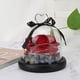 thumbnail image 2 of Amoroso corazón cubierta de vidrio simulación plástico rosa flor lámpara LED decoración luz nocturna para regalo del día de San Valentín rojo, 2 of 8