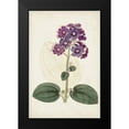 thumbnail image 2 of Ridgeway 17x24 Black Modern Framed Museum Art Print Titled - Antique Botanical Collection V, 2 of 5