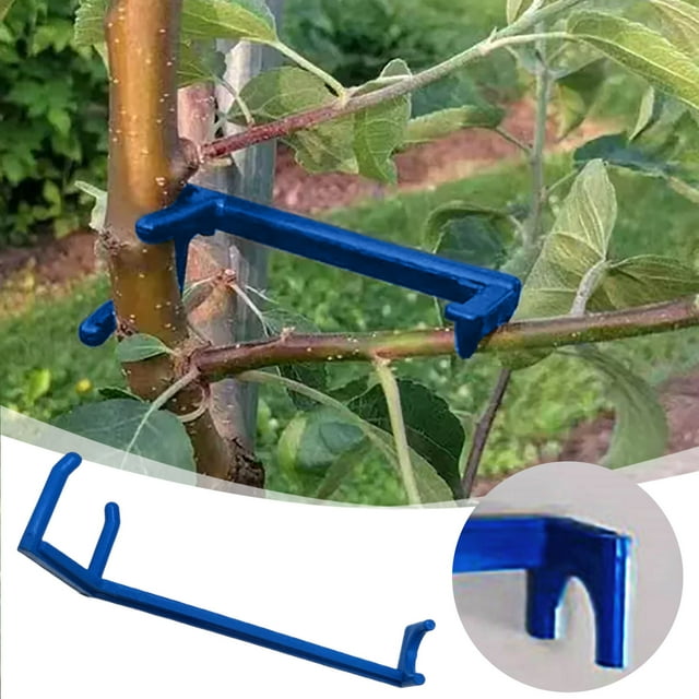 Fruit Tree Branch Spreader Durable Branch Training Clip Provides Optimal Growth Support For Pear Peach Trees And Garden Accessories Ego Replacement Battery Rubber Corner Molding Molding Wall Walk
