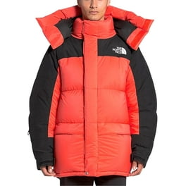 The North Face Men's New FUTURELIGHT Defdown Parka - Walmart.com