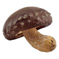 thumbnail image 2 of Paokuoon Mushroom Figure Colorful Mushroom Figure Mini Landscape Decor Ornament Fadeless Simulation Mushroom, 2 of 7