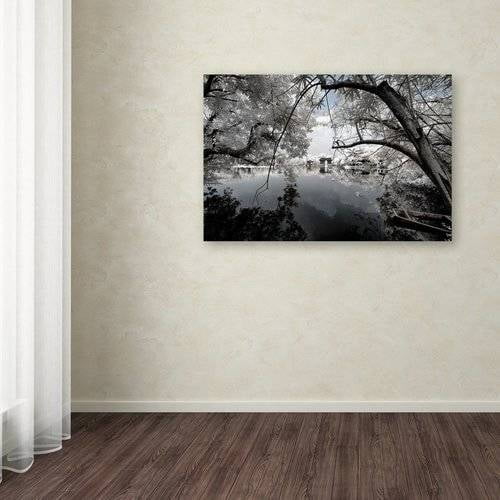 Trademark Fine Art "White Foliage" Canvas Art by Philippe Hugonnard