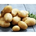 thumbnail image 4 of 2 Pounds Russet Potato Tubers Seed Potatoes Russet Potato Seeds Brown Seeds Potatoes  for Garden & Planting, 4 of 6