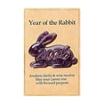 thumbnail image 2 of Eolstice 2026 Easter Bunny Pocket Card, Commemorative Holiday Gift Card, Miniature Card with Bunny Design for Gifting, Collecting, Seasonal Cheer, 2 of 6