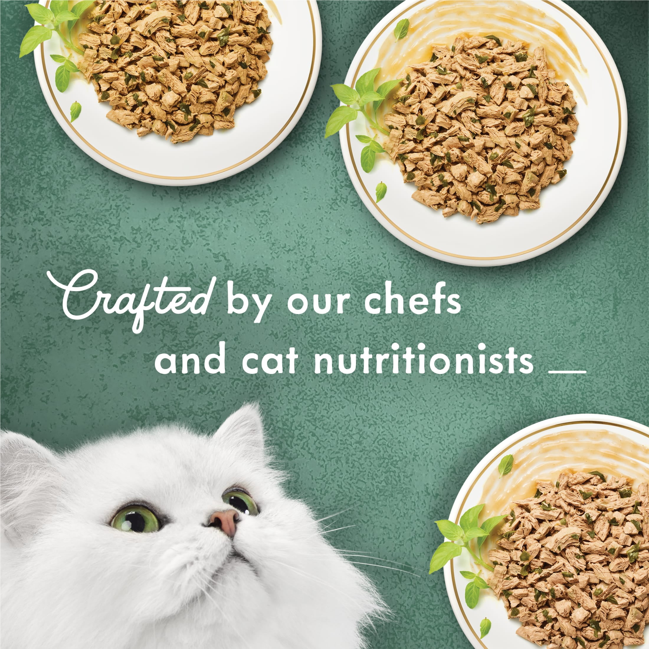 Purina Fancy Feast Medleys Kitten Food Wet Cat Food Shredded Fare Collection 3 oz Cans 12 Pack Walmart