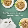 thumbnail image 5 of Purina Fancy Feast Medleys Kitten Food, Wet Cat Food, Shredded Fare Collection, 3 oz Cans (12 Pack), 5 of 9